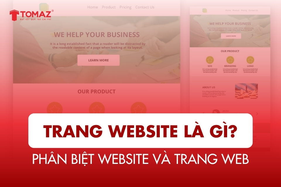 Trang Website Là Gì? Phân Biệt Website và Trang Web Chi Tiết