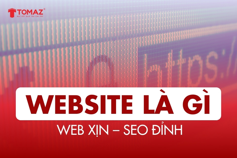 Website là gì? trang web là gì? Lợi ích của Website với doanh nghiệp