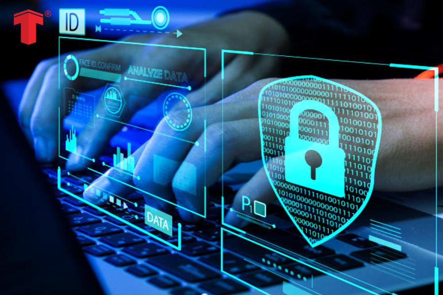 thiết kế website giá rẻ