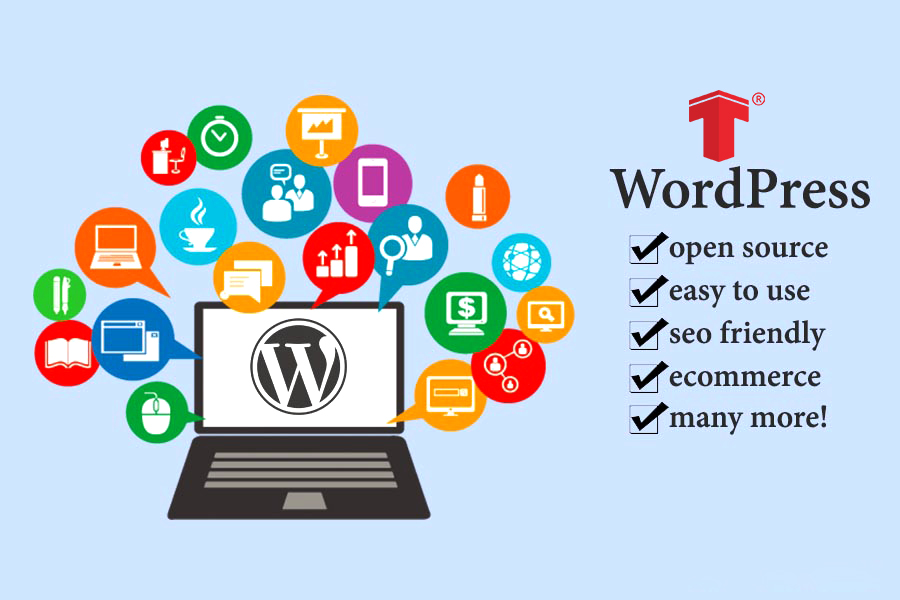 thiết kế website wordpress