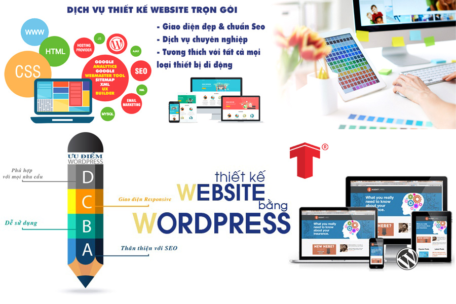 thiết kế website wordpress