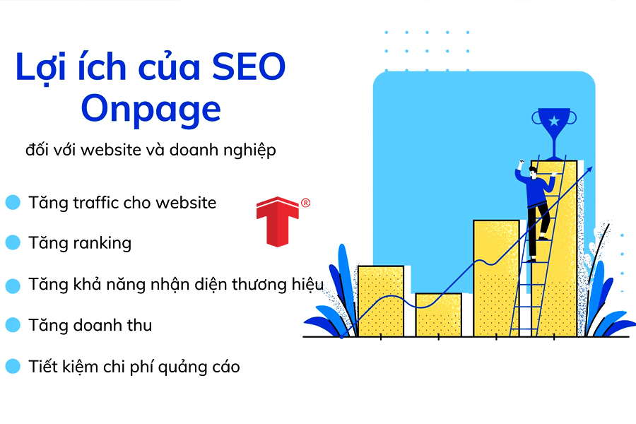 dịch vụ SEO