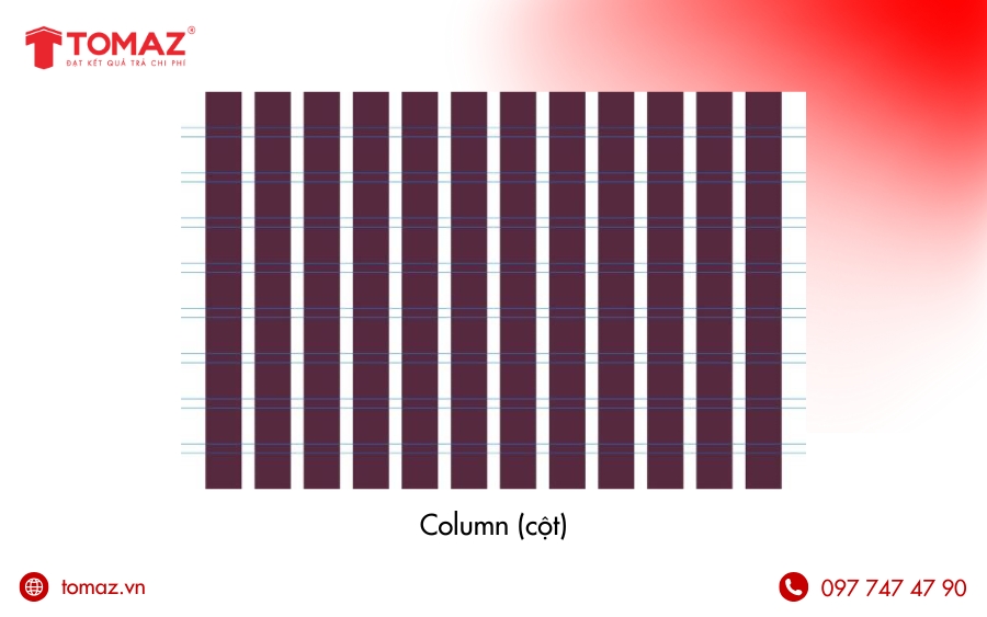 Cấu tạo của hệ thống lưới trong thiết kế web - Column