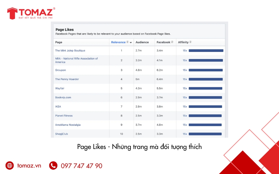 Thông qua Page Likes, Facebook Audience Insights sẽ phân tích và hiển thị những fanpage mà đối tượng khách hàng quan tâm