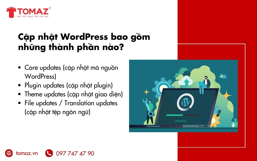 Cập nhật WordPress bao gồm những thành phần nào?