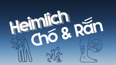 Cuối tháng 6 này TOMAZ đến với phần Sinh hoạt Topic cho Hà Nhi